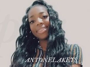 ANTONELAKEYS