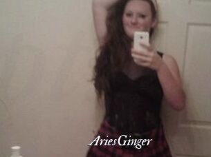 AriesGinger