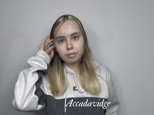 Accadavidge