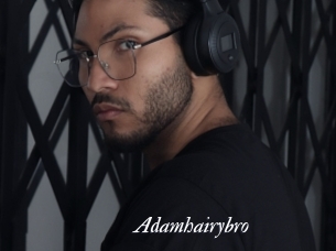 Adamhairybro