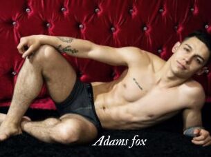 Adams_fox