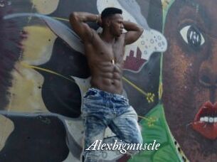 Alexbigmuscle