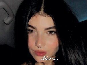 Alicerosi