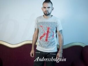 Andressholguin
