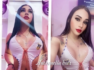 Anthonella_hot1