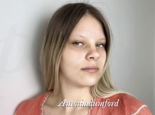 Antoniadumford