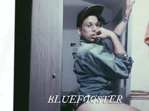 BLUEFOOSTER