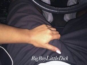 BigBoyLittleDick