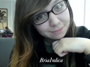 BriaIndica