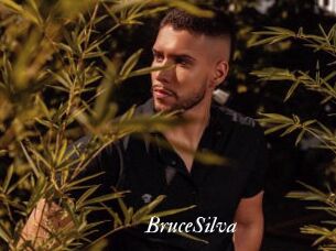 BruceSilva