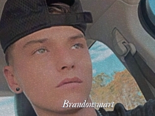 Brandonsmart