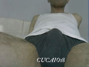 CUCAIO18