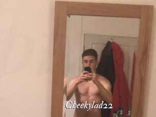 Cheekylad22