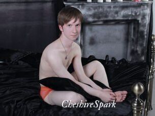 CheshireSpark