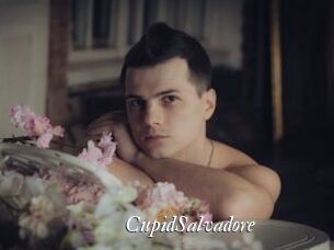 CupidSalvadore