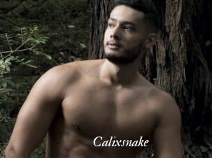 Calixsnake