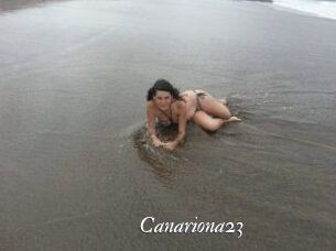 Canariona23