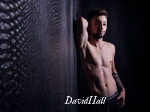 DavidHall