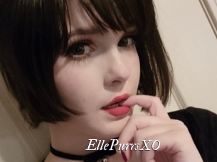 EllePurrsXO