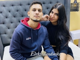 Elektraandmike