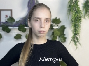 Ellettegaye