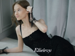 Ellielevys