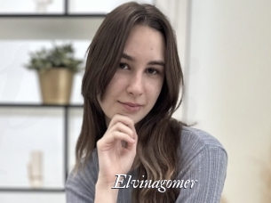 Elvinagomer