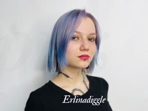 Erlinadiggle