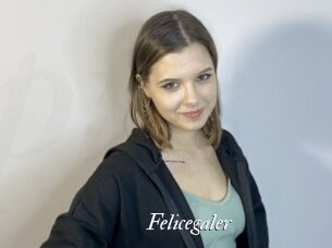 Felicegaler