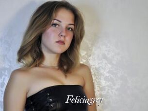 Feliciagrey