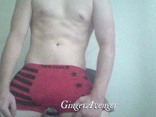 GingerAvenger