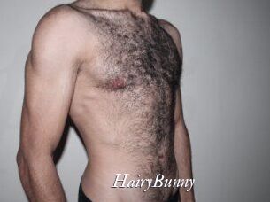 HairyBunny