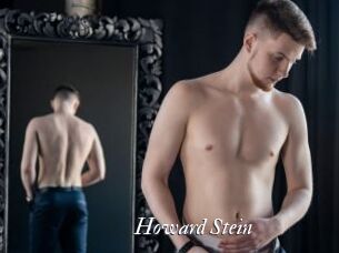 Howard_Stein