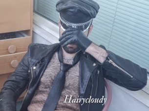 Hairycloudy