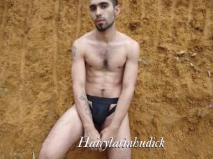 Hairylatinhudick