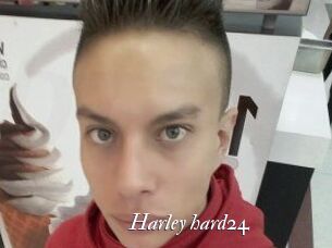 Harley_hard24