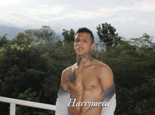 Harrymera