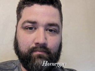 Horneyguy