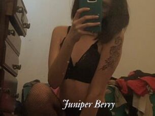 Juniper_Berry