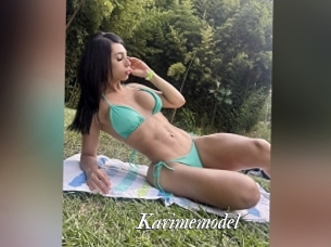 Karimemodel