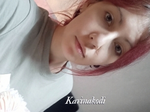 Karinakodi