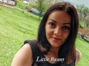 Little_Bunny_