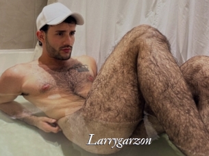 Larrygarzon