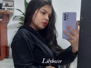 Lilybosse