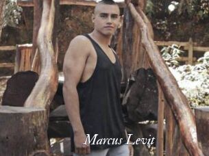 Marcus_Levit