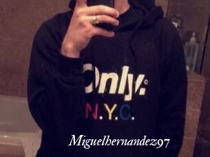 Miguel_hernandez97