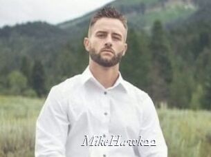 MikeHawk22