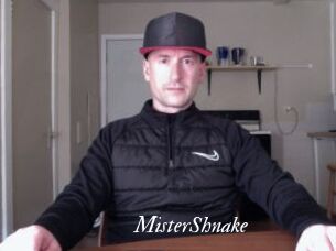 MisterShnake