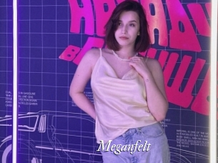 Meganfelt