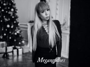 Megangodnes